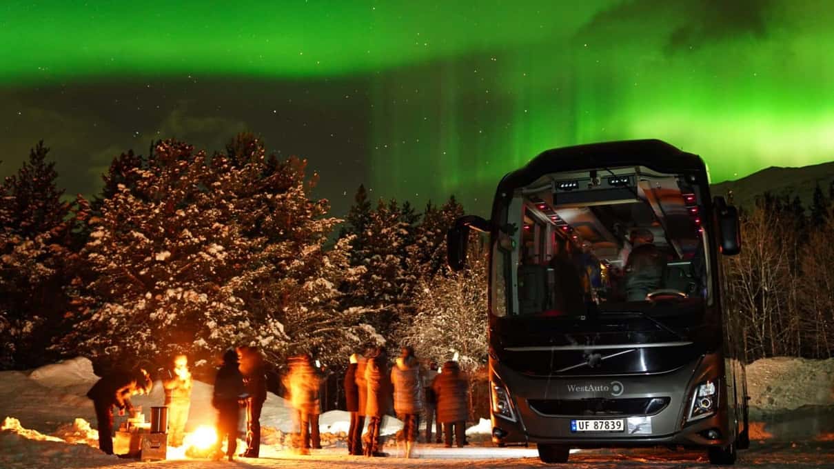 Un groupe autour d’un feu de camp à côté d’un car, sous une aurore verte au-dessus de sapins enneigés