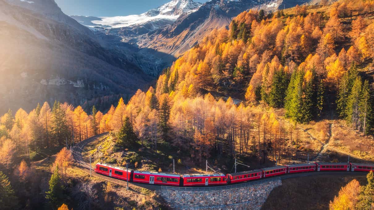 A golden larch forest filling an alpine valley below snowy peaks on the Bernina line