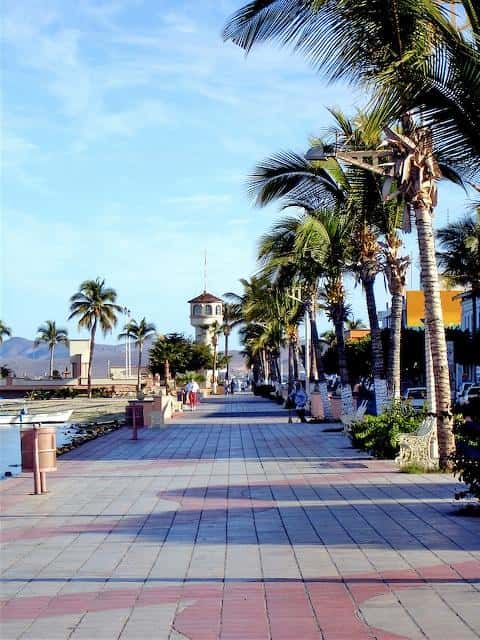 La Paz Malecón promenade lined with palm trees and the clock tower beside the bay