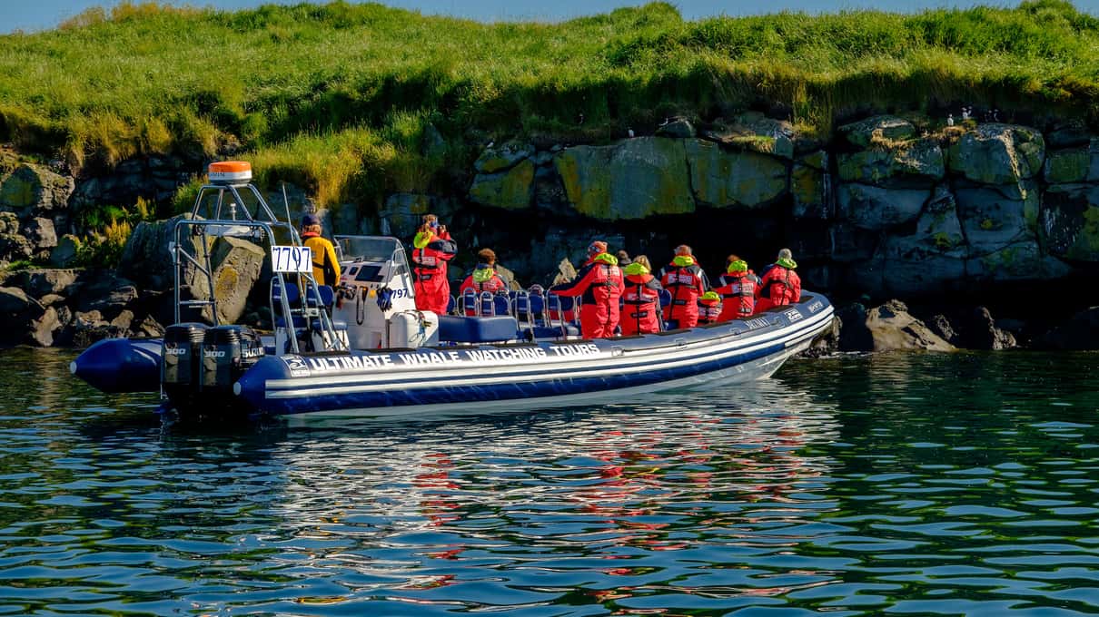 A RIB boat full of passengers in red flotation suits idling close to a green cliff island on Faxaflói Bay