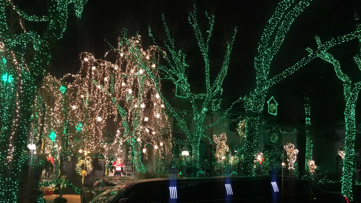 A row of street trees in Dyker Heights wrapped in white and green Christmas lights after dark