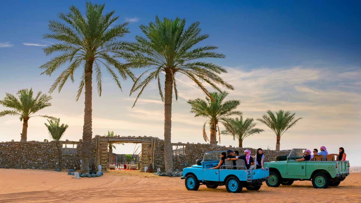 Dos Land Rover clásicos, uno azul y otro verde, con viajeros a bordo, aparcados bajo palmeras datileras en la reserva del desierto