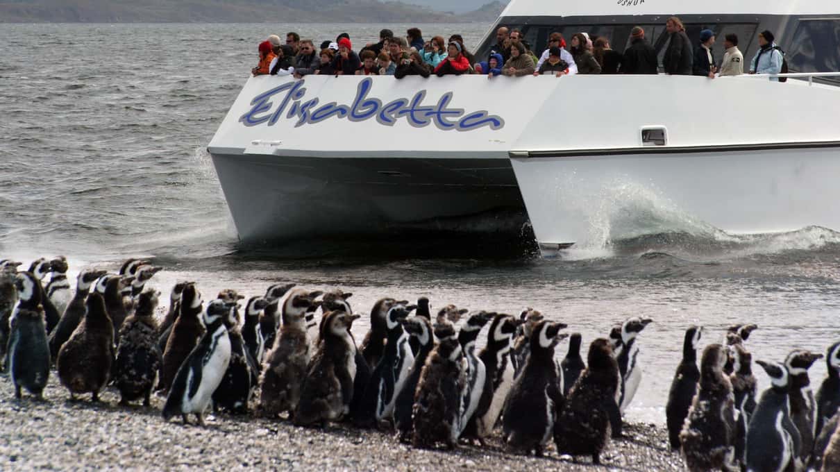 A white catamaran nosed onto the shore of Martillo Island with Magellanic penguins gathered in front of it