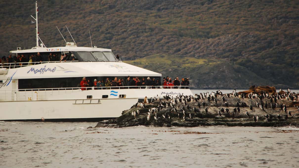 A white catamaran lying close to the Martillo Island shore where Magellanic penguins crowd the pebbles