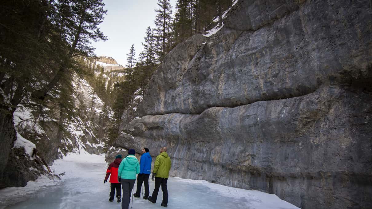 Four walkers in bright winter jackets heading up the snowy creek beneath a sheer grey canyon wall
