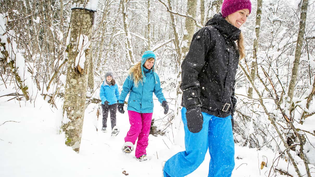A family of three snowshoeing in single file through a snowy forest