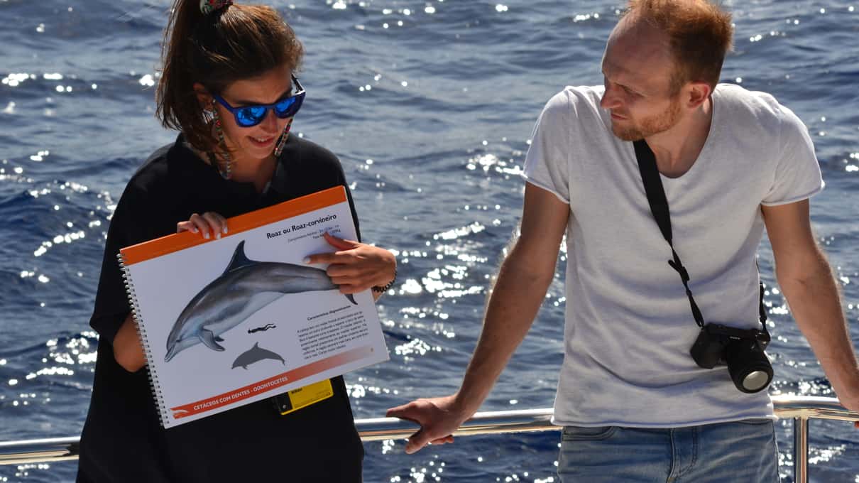 A VipDolphins guide holding up a dolphin species card for a guest on the deck