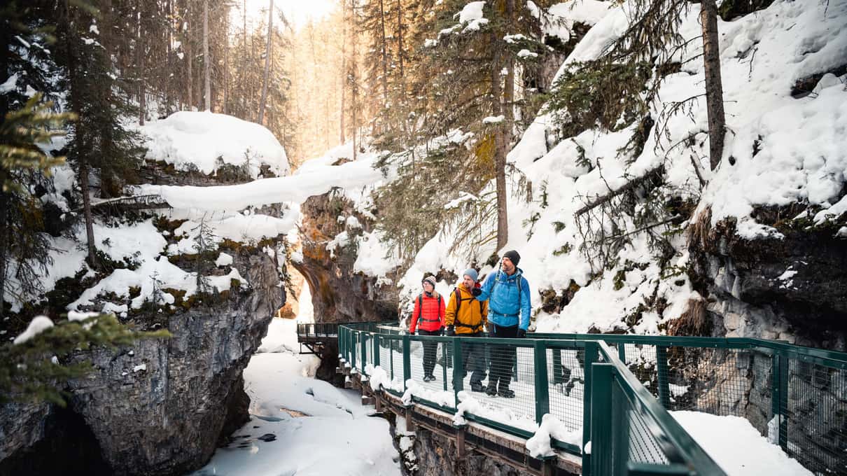 Four hikers in bright winter jackets walking a snowy steel catwalk between the walls of Johnston Canyon