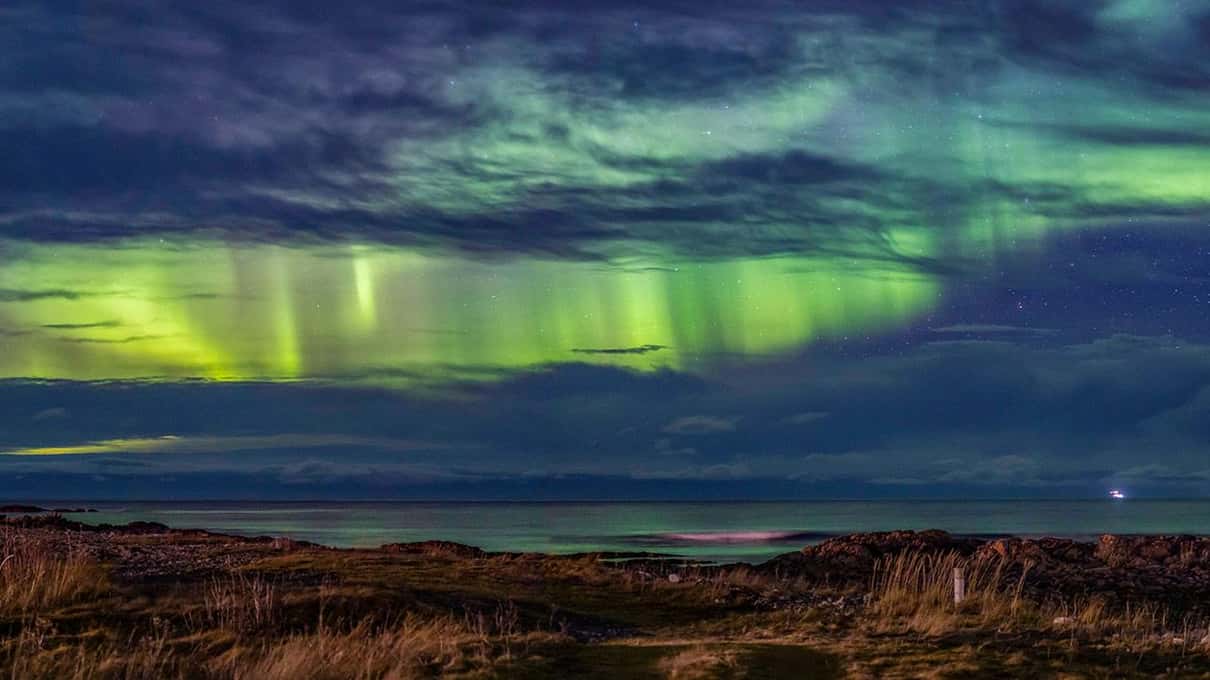 A low green aurora band under heavy clouds over a grassy, snow-free shore and the sea