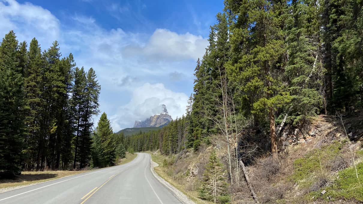 Empty Bow Valley Parkway running through pine forest toward a rocky mountain peak
