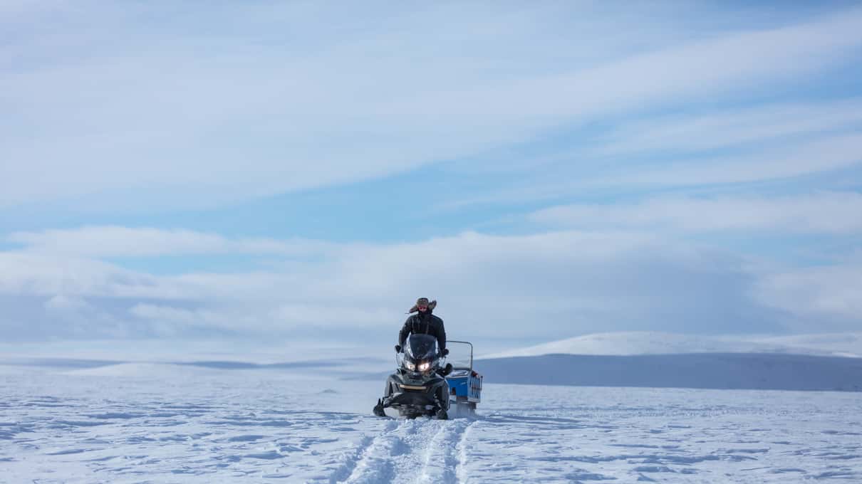 A single snowmobile leaving a fresh track across a wide open snowfield near Levi