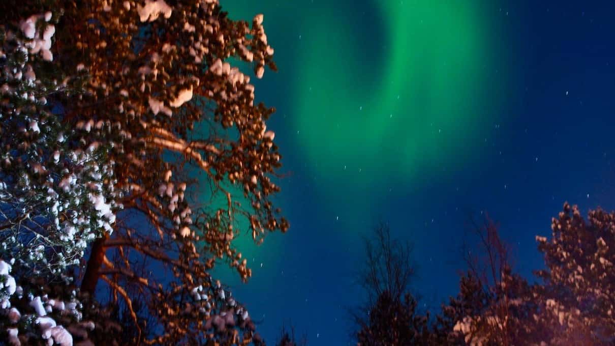 A swirl of green aurora behind frosted birch branches against a deep blue night sky near Alta