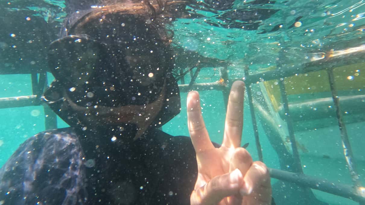 A diver inside the shark cage underwater, mask on, raising a hand to the camera as a shark passes behind