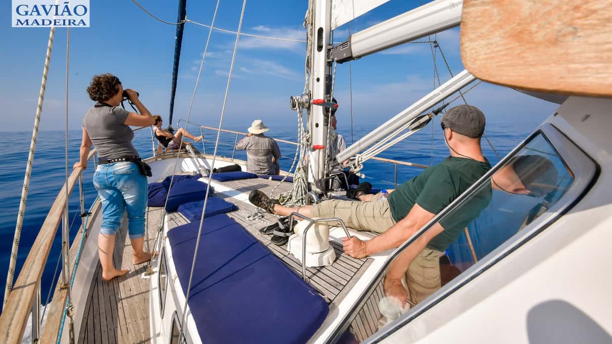 Guests and a crew member on the deck of Gaviao's sailing yacht under the mast and sail