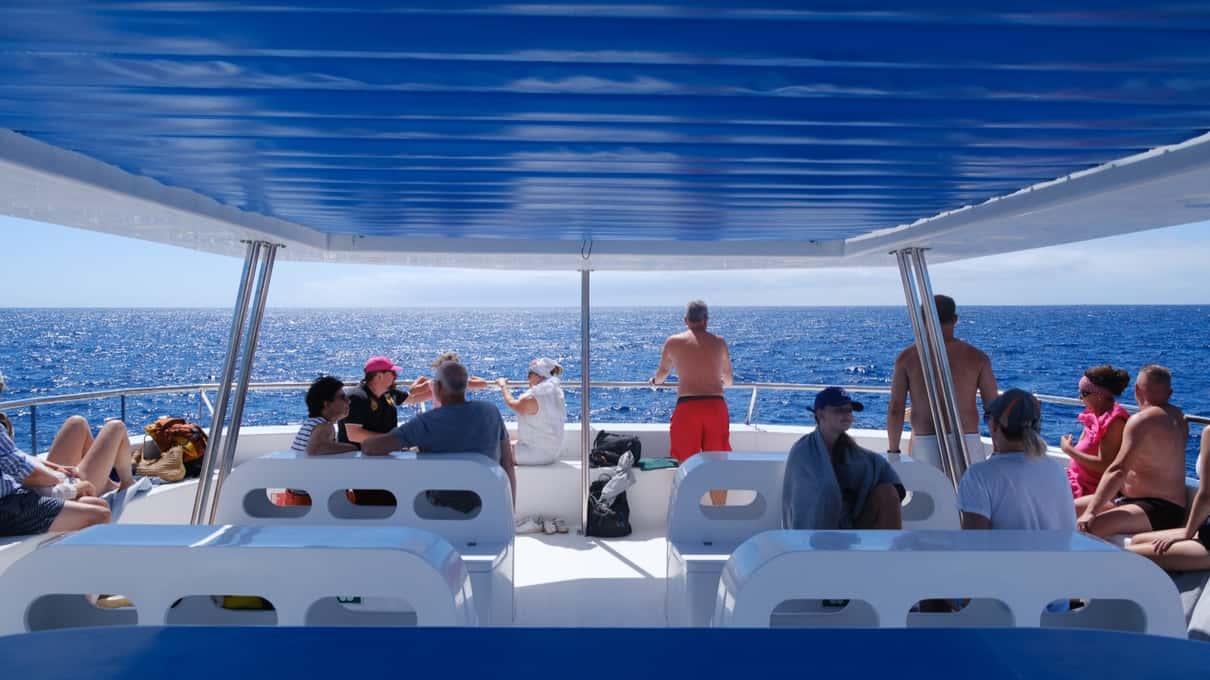 Guests sitting in the shade under the roof of the Magic Dolphin catamaran's deck off Funchal