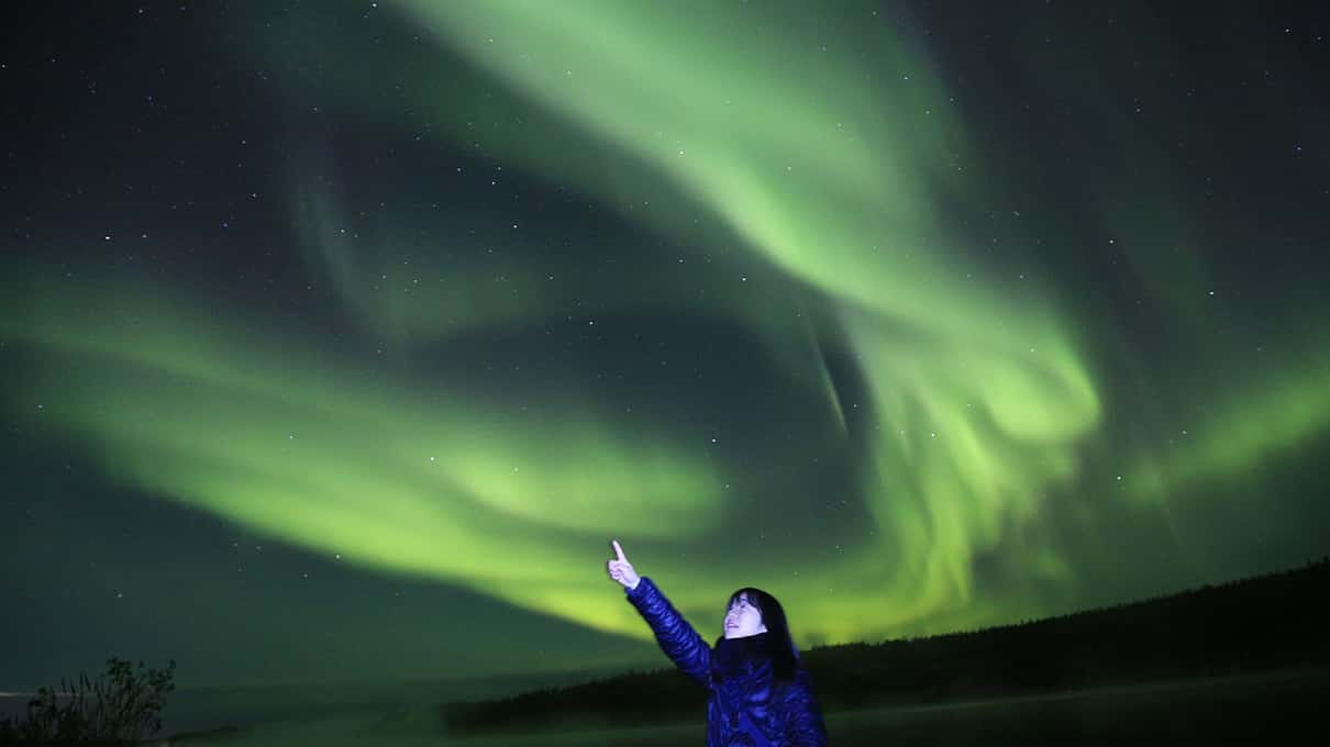 A broad green aurora arc spreading across the night sky above the dark boreal forest near Yellowknife