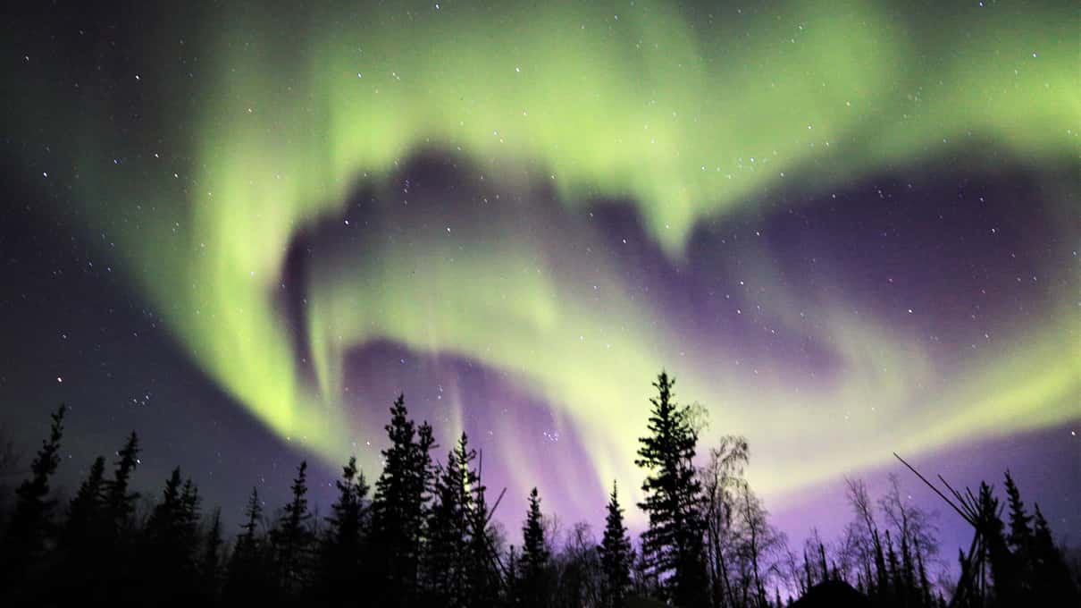Green and violet aurora curtains swirling straight overhead in a starry Yellowknife sky