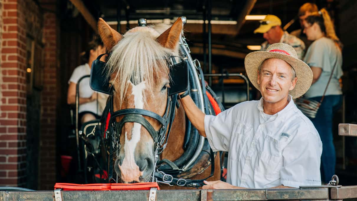 A smiling man in a straw hat strokes the white blaze of a chestnut draft horse inside the Old South barn