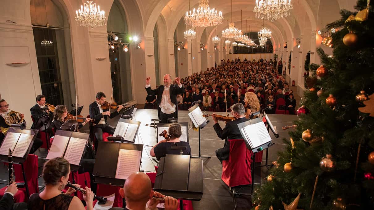 An orchestra playing under chandeliers in the Schönbrunn Orangery, with a decorated Christmas tree beside the stage