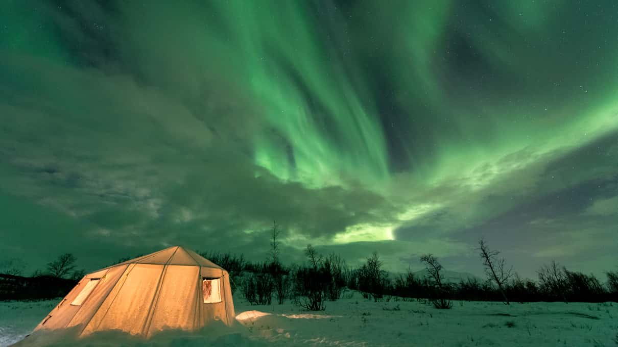 A glowing white canvas tent on the snow under a wide sweep of green aurora near Abisko