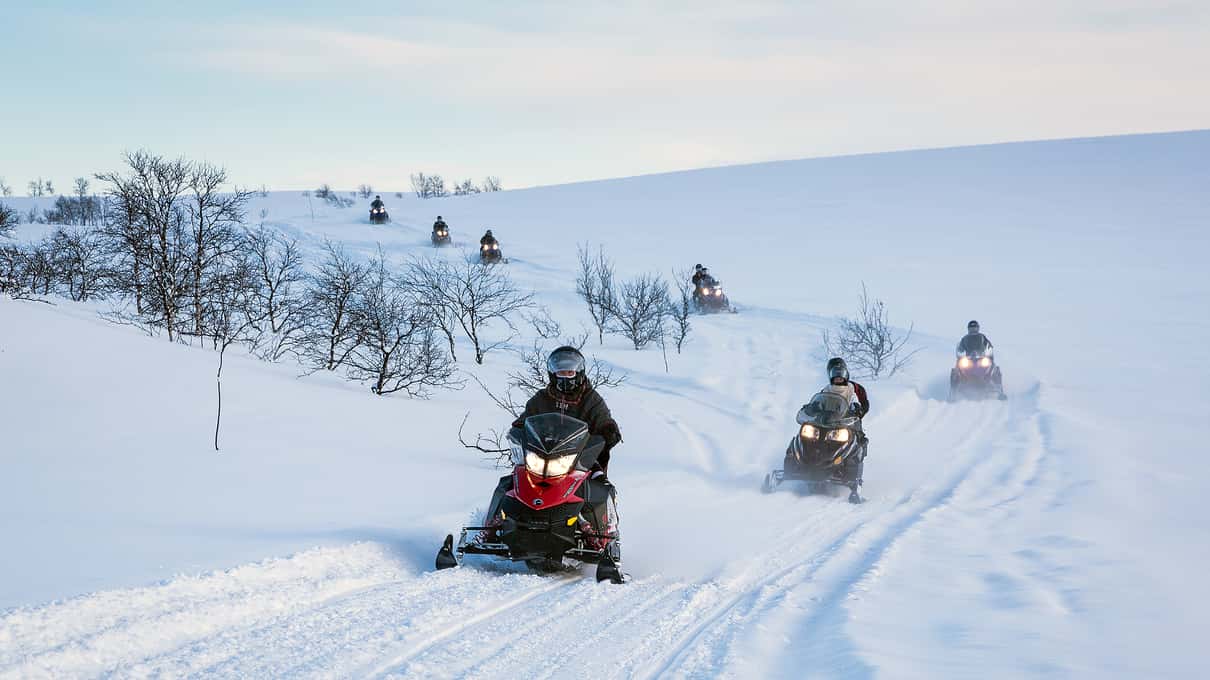 Three riders on snowmobiles in a line across a snowfield dotted with bare mountain birches near Alta