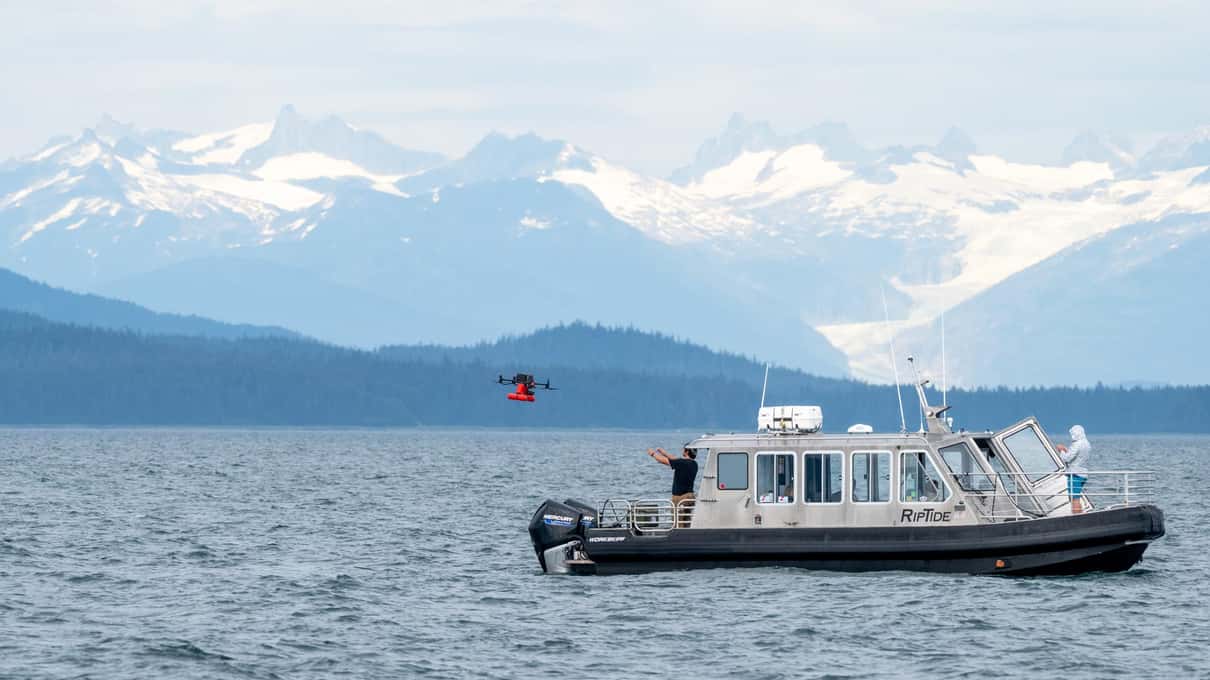 A small whale-watching boat in Icy Strait with snowy peaks behind and the crew's drone hovering above