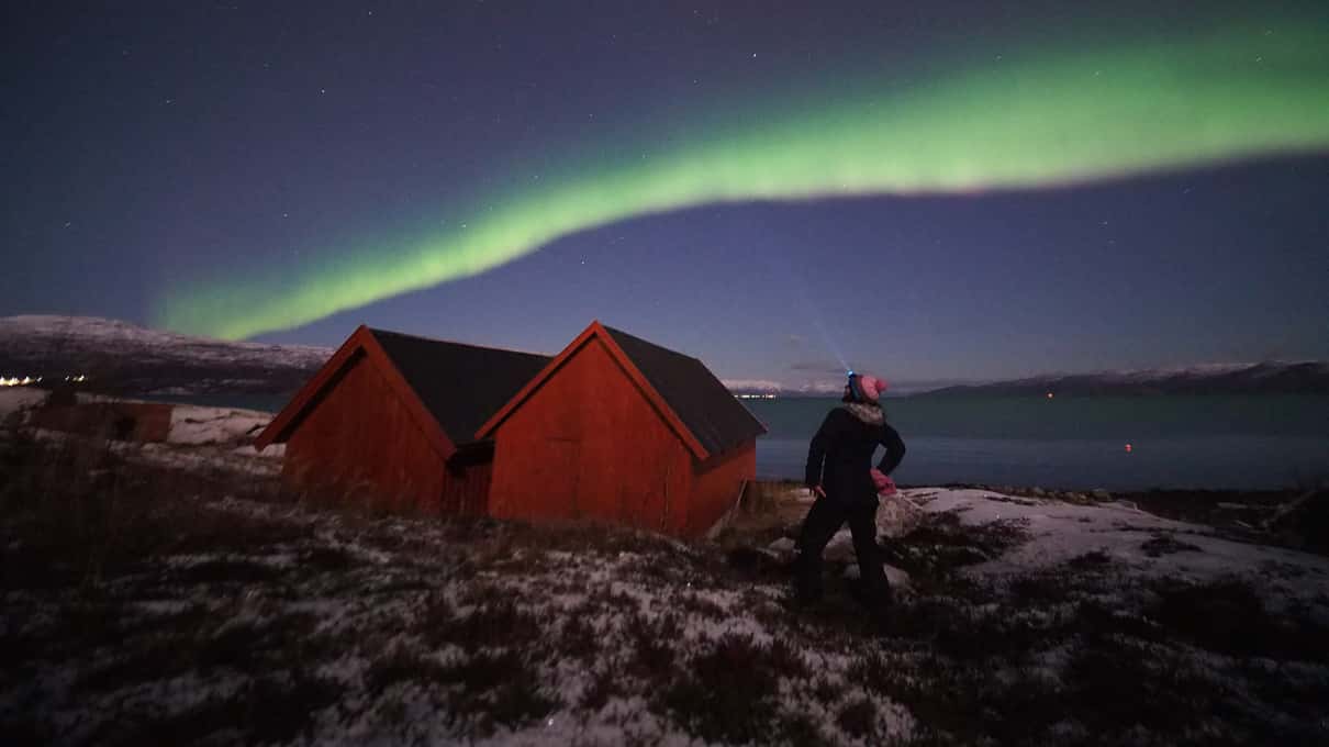 Cabanes rouges en bois sur une rive enneigée, un photographe et une aurore verte au-dessus du fjord