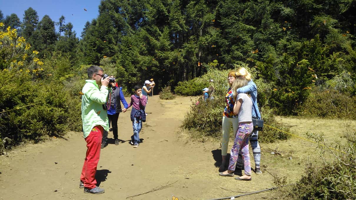 Hikers in sun hats and light jackets walking a dusty forest trail toward a monarch sanctuary