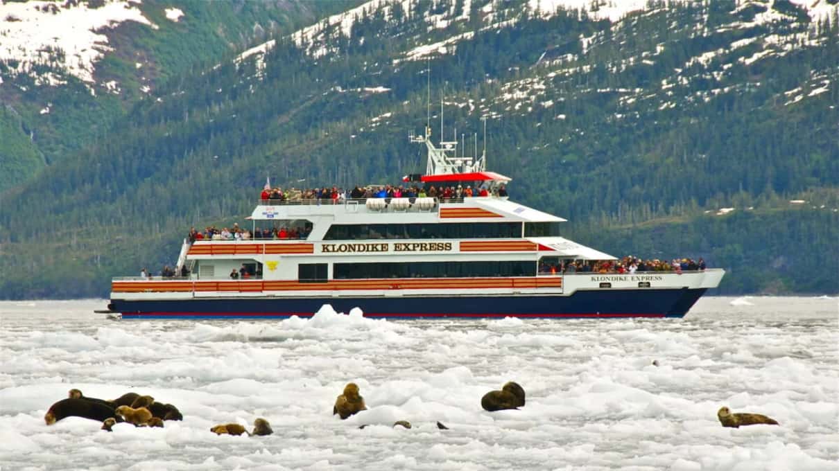 A red and white high-speed catamaran running past a forested shoreline below snow-patched mountains