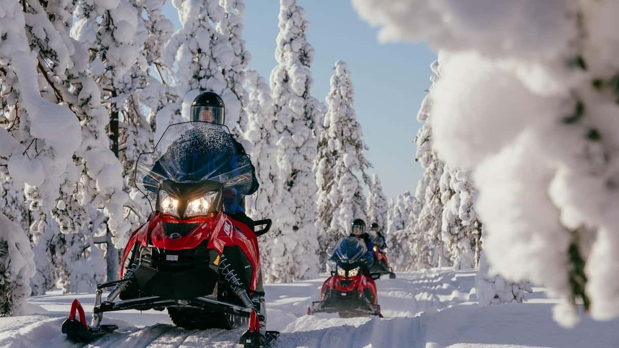 A rider on a red snowmobile between snow-crowned spruces on a forest track near Levi