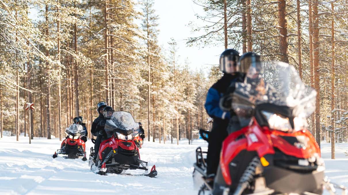 Riders on red snowmobiles in a line through a sunny pine forest deep in snow