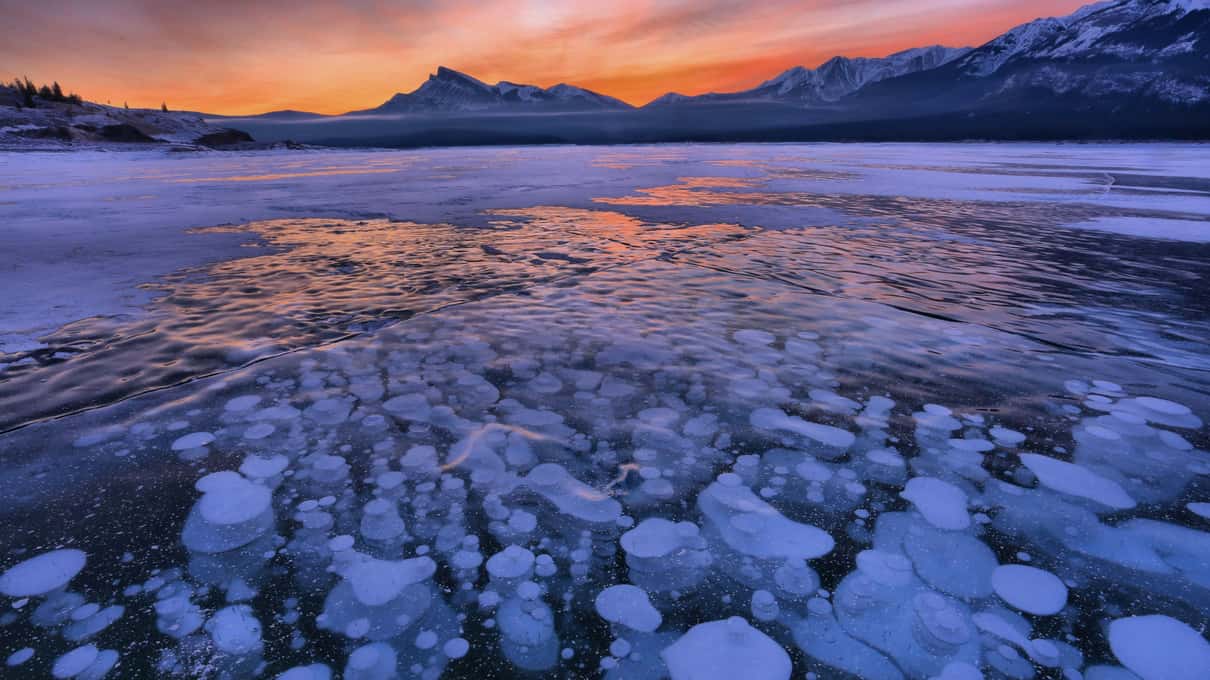 A field of white bubbles in Abraham Lake ice stretching to the mountains under a violet dusk sky