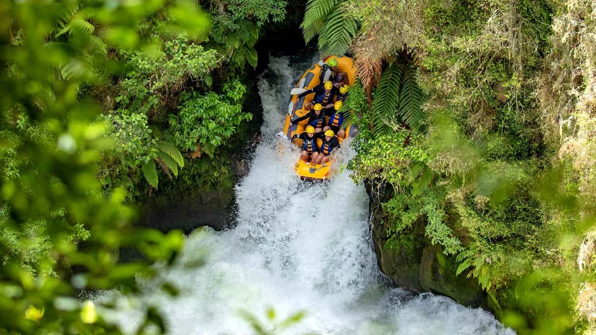 A yellow raft plunging nose first down Tutea Falls between walls of green bush on the Kaituna River