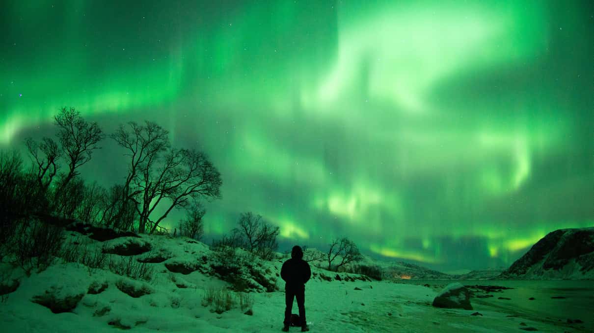 Une silhouette seule dans la neige sous une immense aurore boréale verte, entre des arbres nus et des montagnes