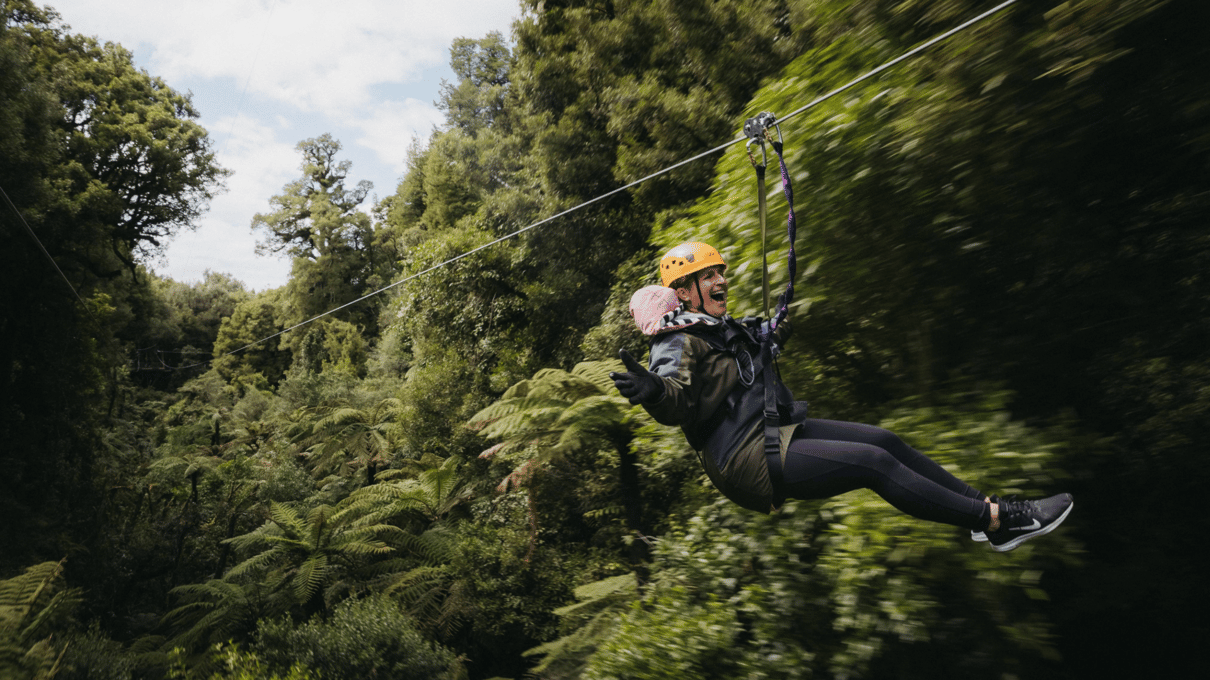 A rider in a harness gliding along a zipline among tree ferns in native forest