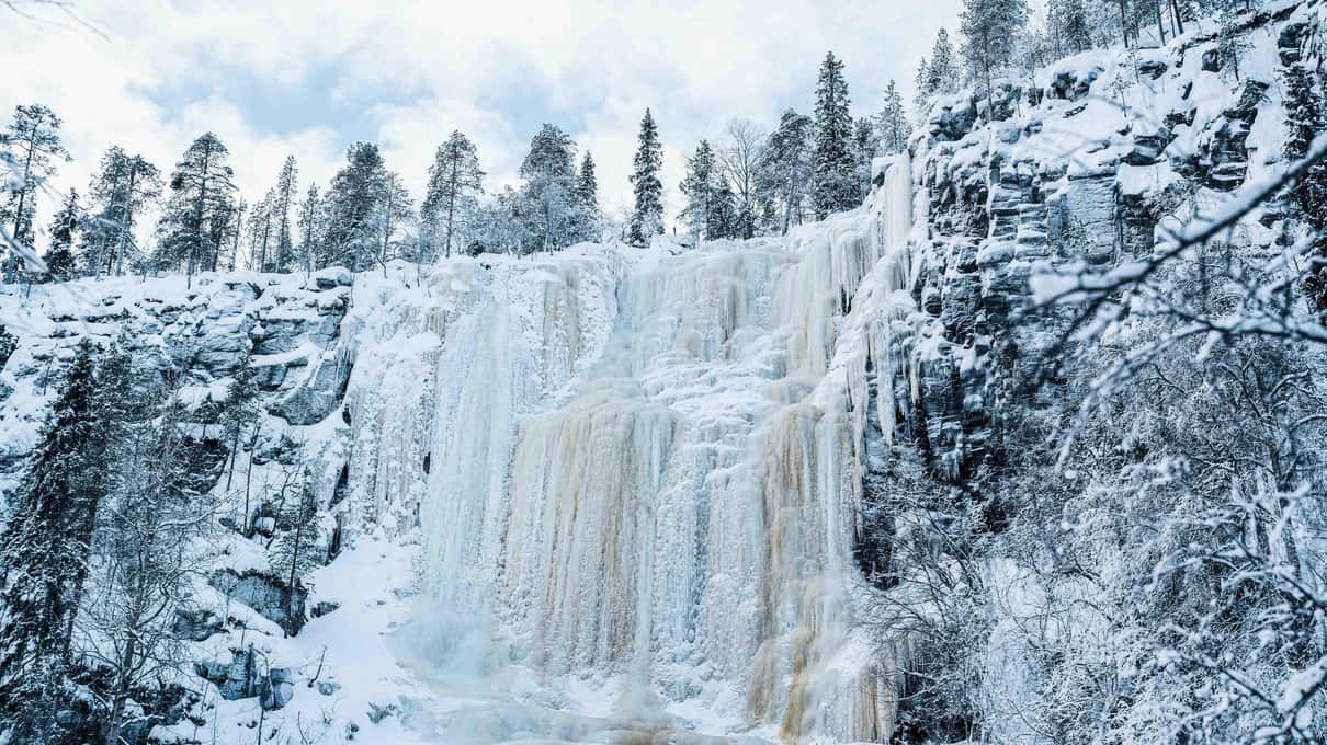 A broad white frozen waterfall framed by frosted pines in Korouoma canyon