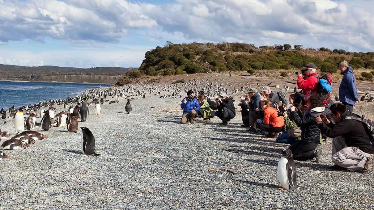 Visitors crouching on the pebble beach of Martillo Island while gentoo penguins stand a few metres away