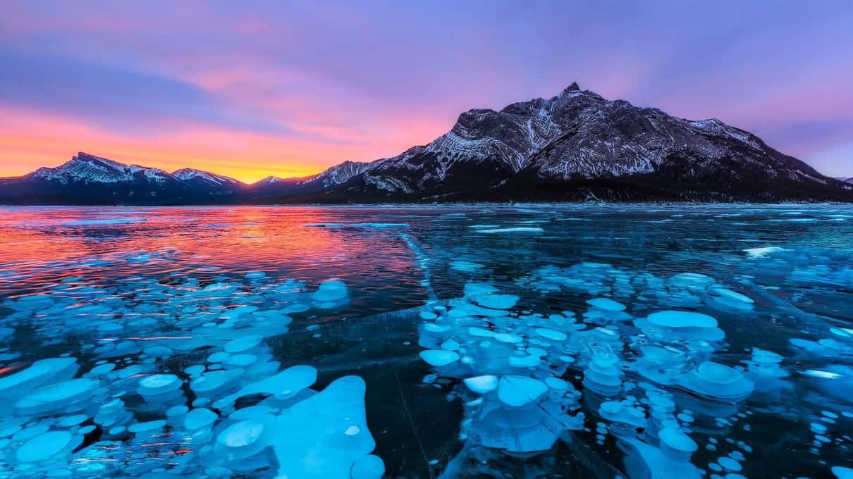 Bright blue methane bubbles frozen in clear ice on Abraham Lake under a pink sunrise and a dark peak