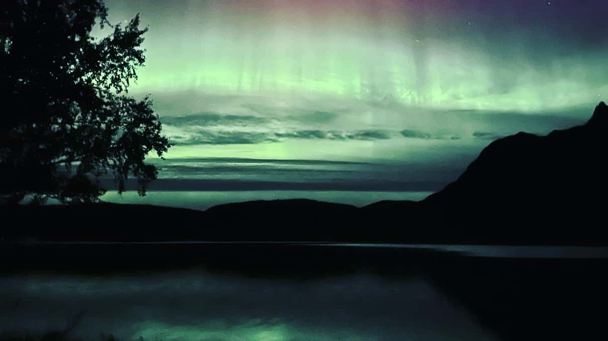 Aurore boréale verte au-dessus d’un lac calme et d’une crête sombre, un arbre au premier plan
