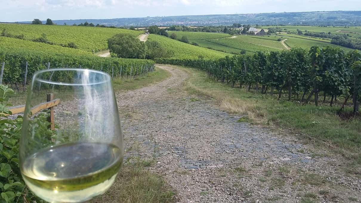 A glass of white wine held up against the green Rheingau vineyard slopes above the Rhine
