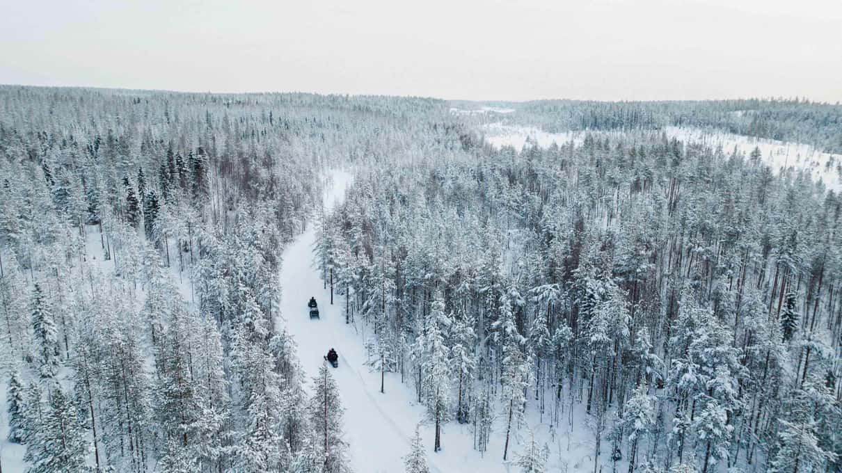 An aerial view of a snowmobile track winding through a snow-covered Lapland forest