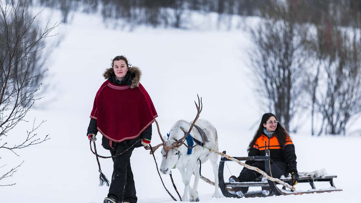 A guide in a red cape leading a white reindeer that pulls a guest in a sled through a snowy birch forest
