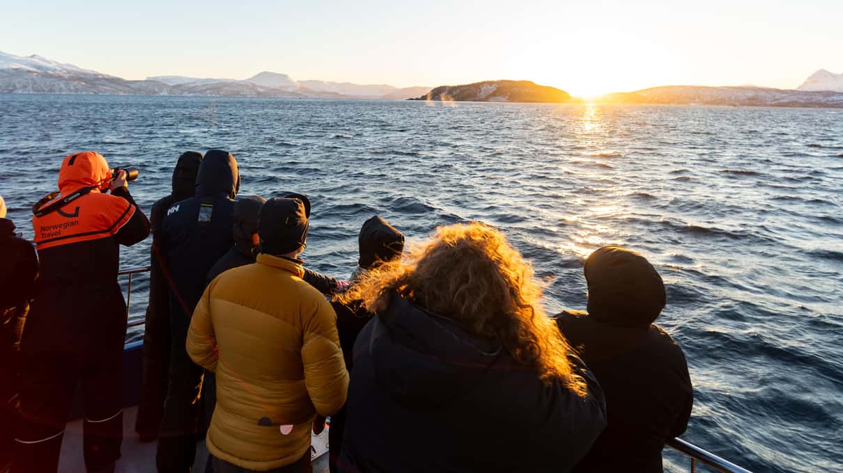 Guests in winter jackets at a catamaran's bow looking toward a low sun over the sea