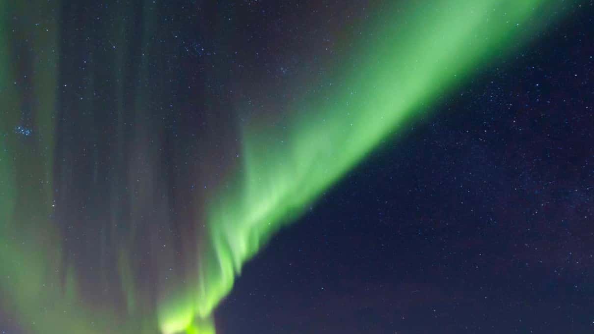 A tall green aurora curtain with a violet upper edge rising over a dark Lofoten ridge