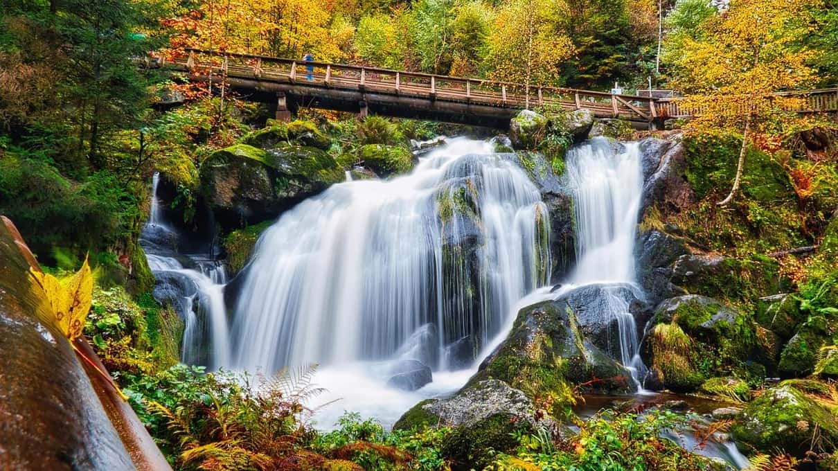 The Triberg waterfalls cascading over mossy rocks in the Black Forest, framed by trees in autumn colour