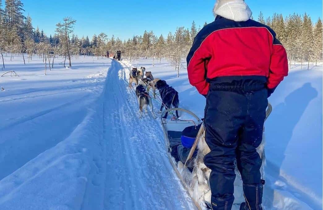 A guest in a red jacket watching a short line of husky sleds on a sunny forest trail