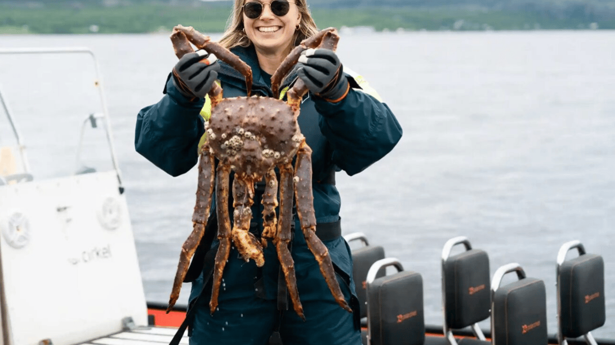 A smiling guest holding a large red king crab on the RIB boat in summer near Kirkenes