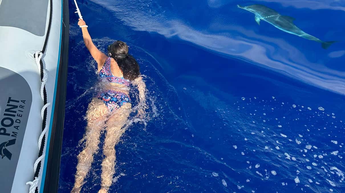 A dolphin swimming in clear blue water right beside the grey hull of Xpoint's RIB