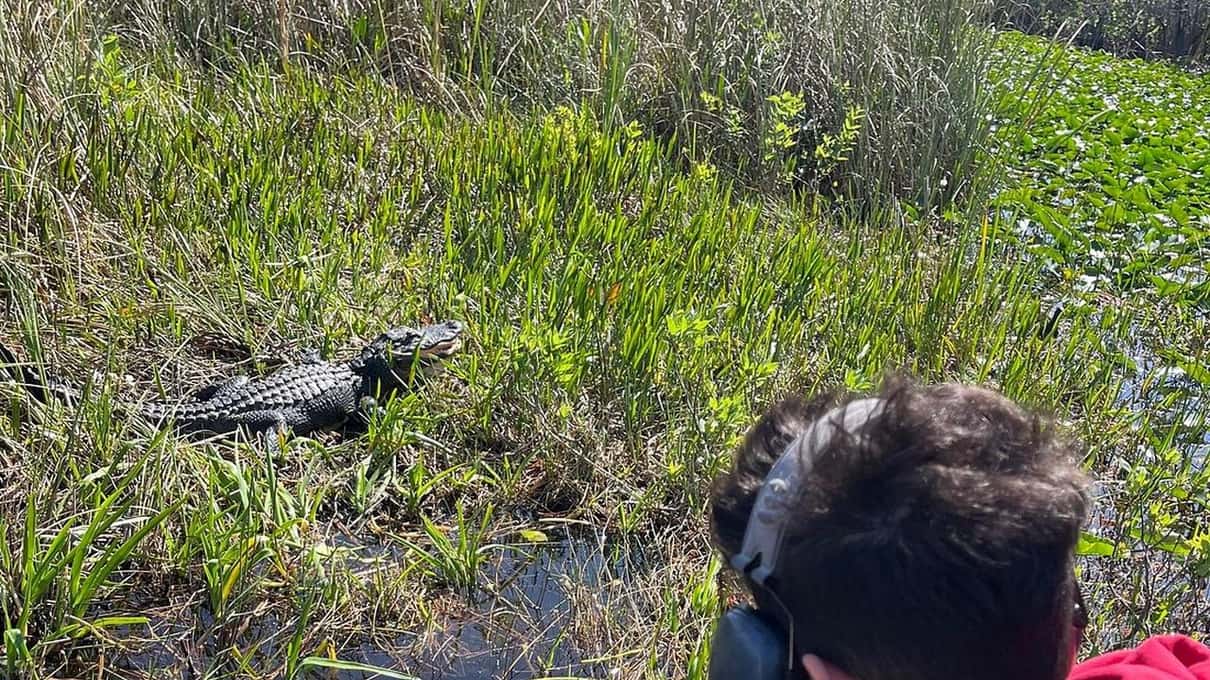A boy in a hoodie leaning over the side of a Miami Everglades Connection airboat to look into the water