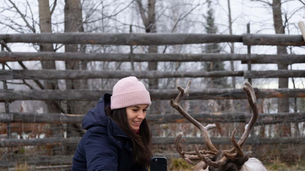 A visitor in a warm coat and wool hat taking a photo beside a resting reindeer